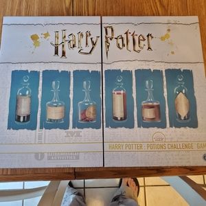 Wooden Harry Potter: Potions Challenge Game